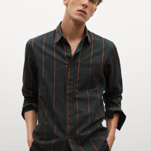 Regular fit striped cotton shirt